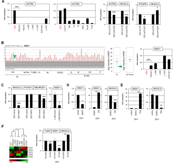 Figure 5: AUTS2, MSX1 and TLE4 regulate NKX2-2 expression.   (A) RQ-PCR analysis of AUTS2 in HL cell lines (left)  and primary hematopoietic cell/tissue samples (middle)