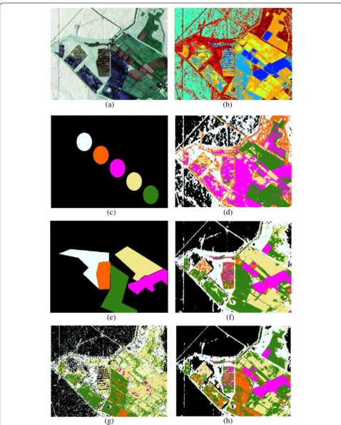 Figure 4 Segmentation result on a UAVSAR image (a) the power image, (b) the Wishart-H-a classification, (c) the random initialization,(d) segmentation result corresponding to (c), (e) initialization by manual quadrangles, (f) segmentation result corresponding to (e),(g) the automatic initialization, (h) segmentation result of our approach.