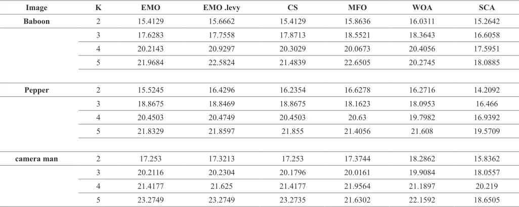 TABLE III .The Best Fitness Value Obtained from all Algorithms for Test Image