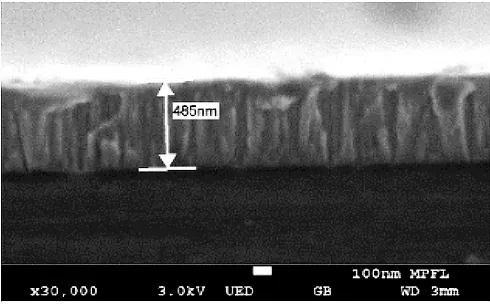 Figure 2. The cross-section scanning electron microscope (SEM) images of Ti-V-Hf-Zr getter film deposited on silicon substrate