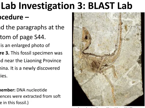 Figure 3. This fossil specimen was