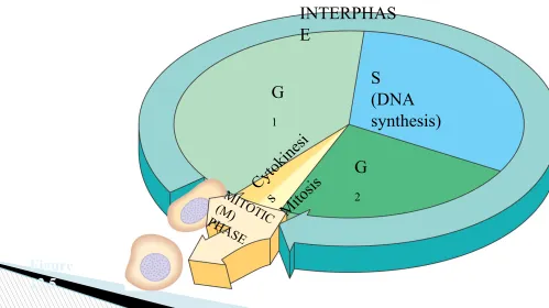 Figure 12.5