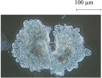Figure 12.2 A