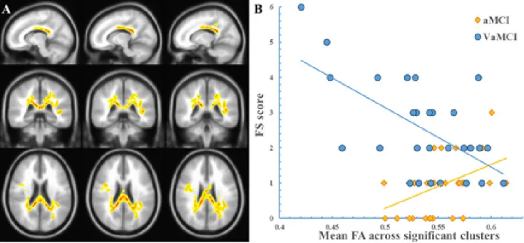 Figure 2: The “FA × Group” interaction effect on the FS score .  The clusters showing a significant “FA × group” effect are 