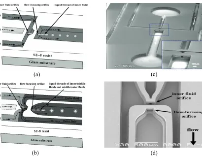 Figure 4. Schematic diagrams of the MEMS-based 3D MFFD using three layers of SU-8 configuration for formation of double emulsions