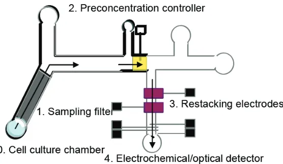 Figure 1. Schematic of one idealized total analysis device showing the various functions on a micro fluidic chip [8]