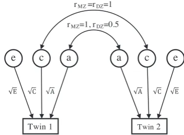FIGURE 1Path diagram for the univariate ACE twin model