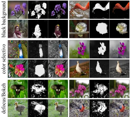 Figure 6: The edited images generated by VEGAN with re-spect to speciﬁc visual effects
