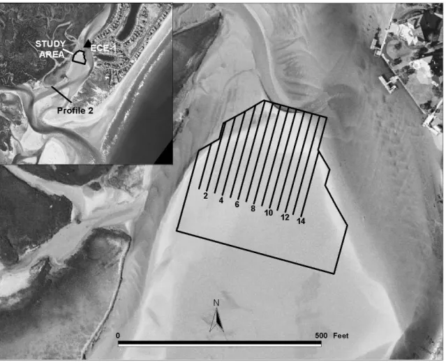 Figure 5.  Vertical aerial photograph showing the Banks Channel flood shoal complex.  The  outlined area indicates the study area, whereas the numbered lines are the transects  
