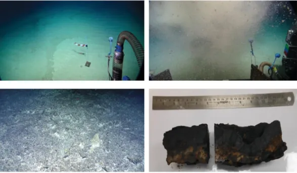 Figure 2.  (Bottom left) Crust pavement. (Bottom right) Crust sample from Tropic Seamount