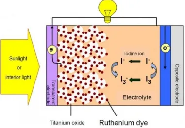 Figure 2. Electron transfer mechanism in a dye-sensitized solar cell (DSSC). 