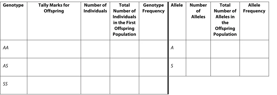 Table 2.1. First Generation of Offspring 