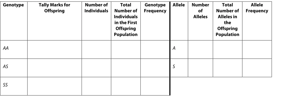 Table 3.2. Second Generation of Offspring 
