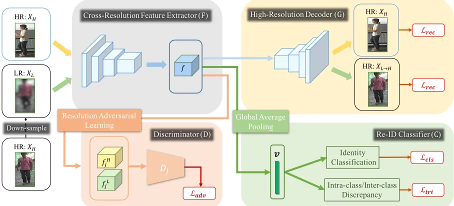 Figure 2: Overview of the proposed Resolution Adaptation and re-Identiﬁcation Network (RAIN)