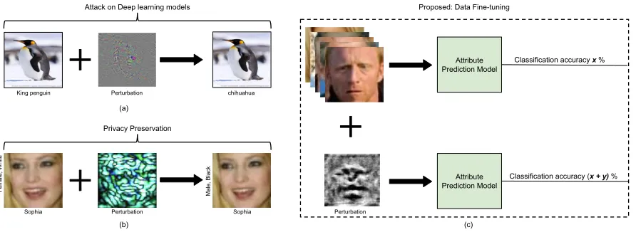 Figure 2: Comparing the concept of adversarial perturbation with data ﬁne-tuning. (a) Adversarial perturbation: shows theapplication of perturbation in attacking deep learning models (Xie et al