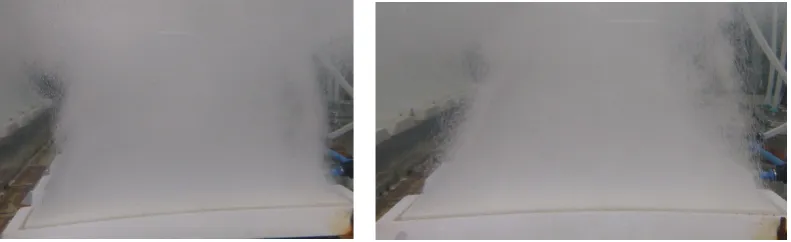 Figure 1.Photographic Visualisation of Cloud Bubble Dynamics ((Figure 1. left) – control/steady flow, (right) oscillatory flow