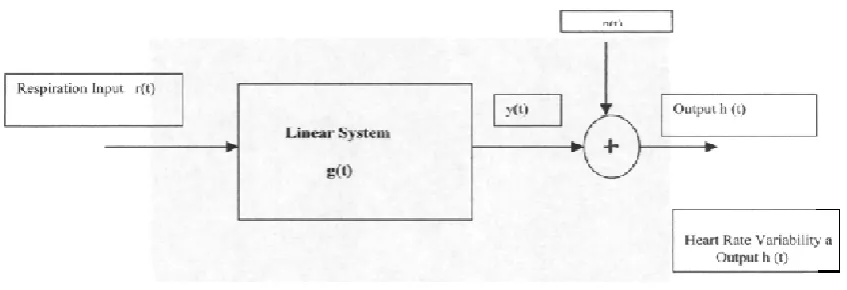 Figure 3: Relationship between input (breathing) and output (HRV signal)