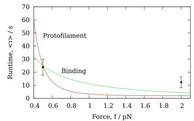 Figure 4.10: Runtime of the protoﬁlament and binding models. The runtimeksimilar functional form.available to perform this ﬁtting [49] making it difrom this approach