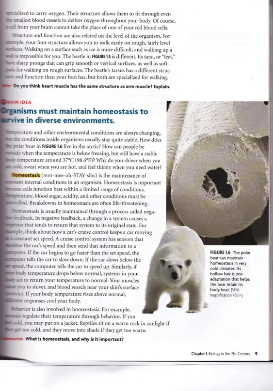 FIGURE 1.5 The potarbear can maintain