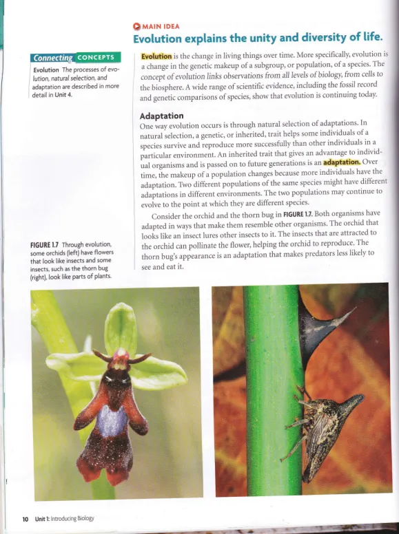 FIGURE 1.7 Through evolution,orchids (teft) have flowers