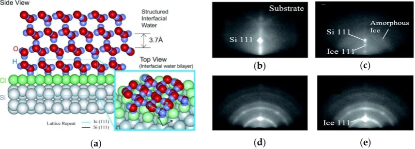 Figure 2.Figure 2.  (a() Schematic illustrating the structural water adsorbed on the Cl-terminated Si(111) surface.a) Schematic illustrating the structural water adsorbed on the Cl-terminated Si(111) 