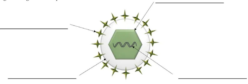 Figure 1. A general viral particle.