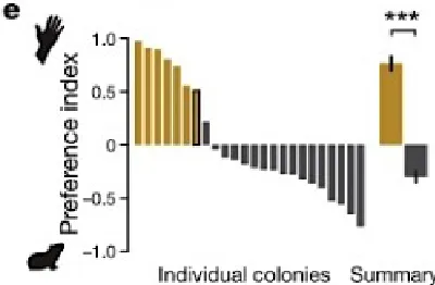Figure 2. Olfactometer preference index results. This figure shows the results of the second experiment, in which odor was the only cue driving mosquito preference