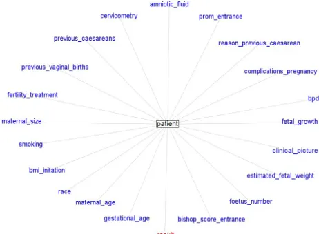 Fig. 1. Graph of attributes of a patient. Attributes used to make the decision of inducing are in blue and the object variable (class) is in red.