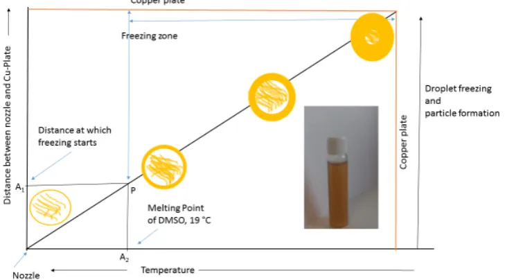 Figure 2.Figure 2. Graphical presentation of the method used and the mechanism of particle formation