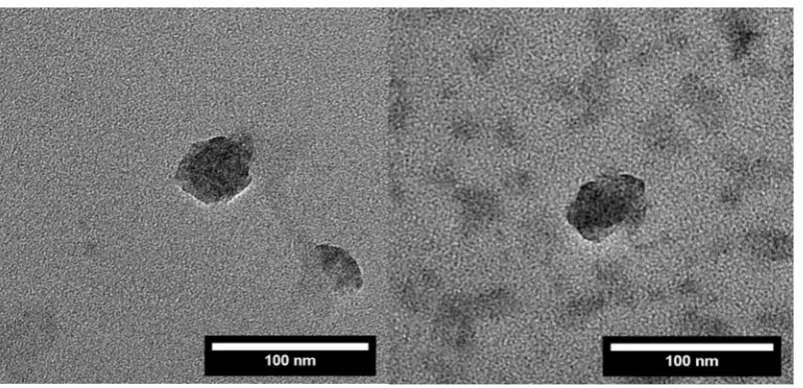 Figure 4.Figure 4. Transmission electron microscopy (TEM) images of representative lignin nanoparticles