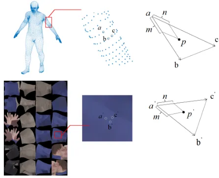 Figure 5: Barycentric transformation. Given the correspon-dence of the 6890 vertices in UV space and the 13776 trian-gles formed by the vertices, barycentric transformation cor-responds with the points which locate in the 13776 trianglesinto UV space and then get the color information.