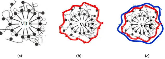 Figure 3. Schematic presentation of initial (PSS-DoTAB, (a)), intermediate (PSS-DoTAB/Chitosan, (b)) 