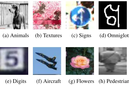 Figure 1: Image examples from different domains.