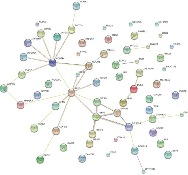 Figure 7: Network analysis of the 61 TP53-PCOR genes by STRING.  A TP53-PCOR locus is a gene whose expression positively  correlates with TP53 expression in cancers but not in normal tissue (Pearson product-moment correlation, FDR < 0.05).
