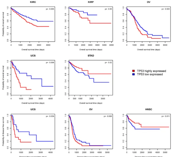 Figure 8: Kaplan–Meier survival curves show significant overall survival (OS) or disease-free survival (DFS) time  differences between TP53  higher-expression-level and TP53  lower-expression-level cancer patients (log-rank  test,  unadjusted P-value < 