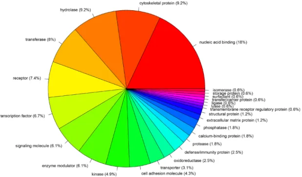 Figure 3: Protein classes of 120 genes that are more highly expressed in TP53-mutated cancers compared to TP53- TP53-wildtype cancers.