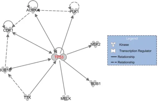 Figure 4: TP53 regulates or interacts with eight kinase-encoding genes.  A solid line indicates a direct interaction, and a dashed  line an indirect interaction; an arrow pointing from A to B indicates that A causes B to be activated, which includes any di