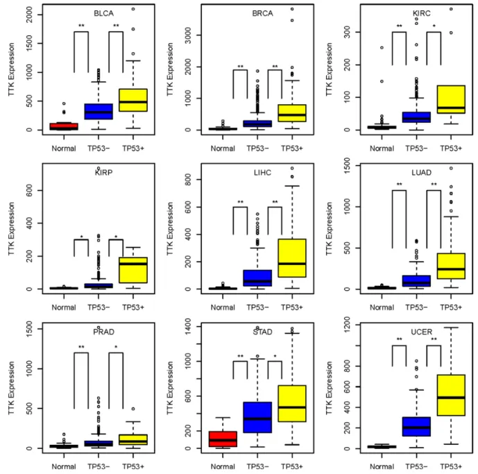Figure 5: TTK gene expression level pattern: TP53-mutated cancers > TP53-wildtype cancers > normal controls, in  nine cancer types