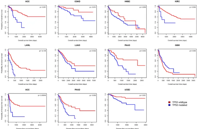 Figure 6: Kaplan–Meier survival curves show significant overall survival (OS) or disease-free survival (DFS) time  differences between TP53-mutated and TP53-wildtype cancer patients (log-rank test, unadjusted P-value < 0.05)