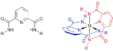 Figure 3.2. Structure of the pyridinecarboxyamide ligand (left) and its metal complex