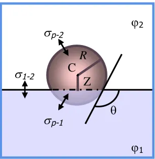Figure I-2. Schematic representation of a solid spherical particle of radius Rsitting at the interface of φ1 and φ2 a distance Z from the centre C.1,2,pp12are the surface/interfacial tensions between the particle and φ1,the particle and φ2 and the two phases respectively and θ is the three-phase contact angle.