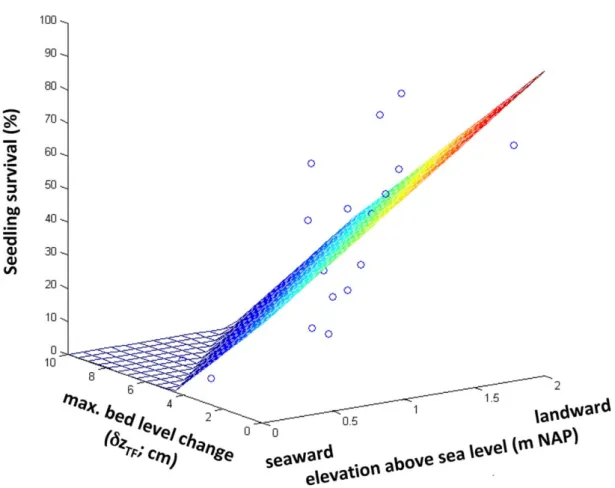 Fig. 9. Field measurements showing that seedling survival depends on a combination of the short-term sediment dynamics (dz TF ) and tidal elevation expressed relative to the Dutch ordnance level NAP which is close to local mean sea level (R 2 5 0.59, p 5 0