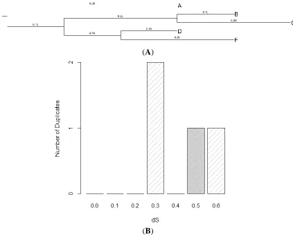 Figure 3. (A) A phylogenetic tree showing the relationship of and distances between duplicated genes in a gene family; (B) the corresponding histogram based upon the best BLAST hits for a duplicate is shown