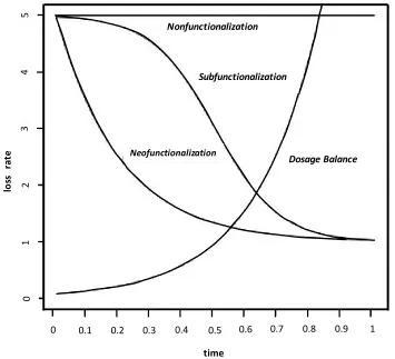 Figure 5. The hazard functions associated with the nonfunctionalization, neofunctionalization (plus nonfunctionalization), subfunctionalization (plus nonfunctionalization) and dosage balance (plus nonfunctionalization) processes, as described by sample par