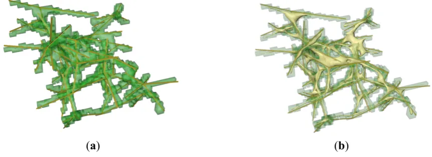Figure 6. Voxel-based generation of the FRC network. (a) Initial local structure;  (b) Smoothed solid model of the local structure