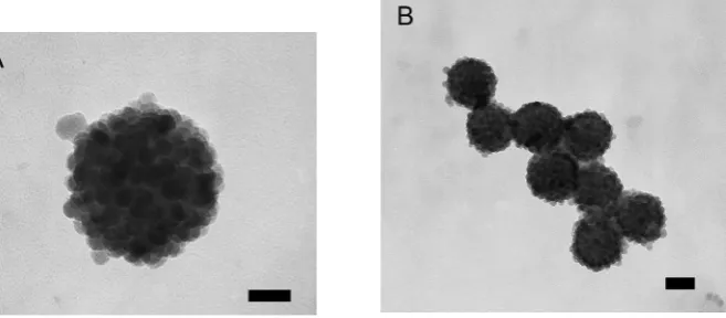 Figure 1.o f c o l l o i d a l s i l i c a TEM images of colloidal silica armored polystyreneSupporting Information