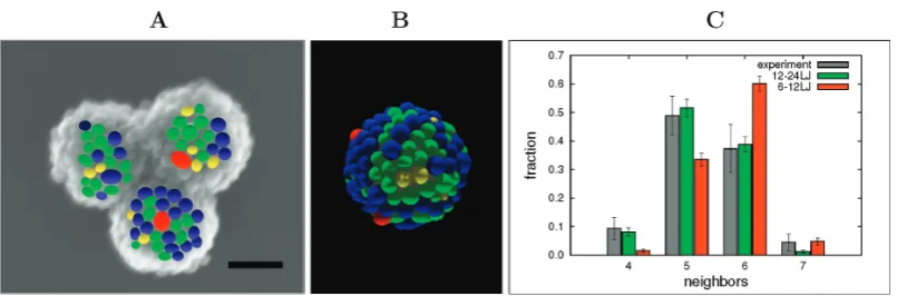 Figure 2. Packing patterns of nanosized silica particles on the surface of polystyrene latex particles: (A) Experimental micrograph taken by