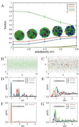 Figure 3. (A) Fraction of nanoparticles with different coordination for different values of polydispersity for R/r = 6.7