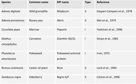 Table 1.1 – Examples of ribosome inactivating proteins 