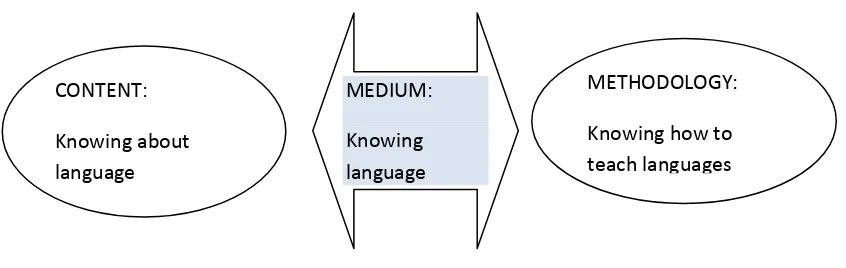 Figure 5: Emergent view – Language knowledge for/in teaching (Freeman et al, 